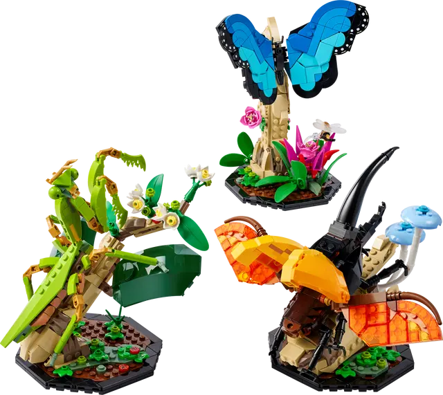 The Insect Collection