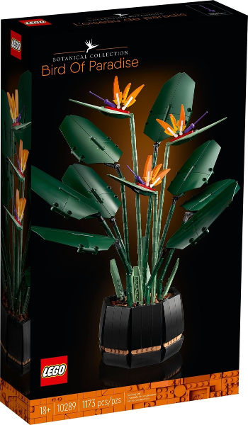 Bird of Paradise
