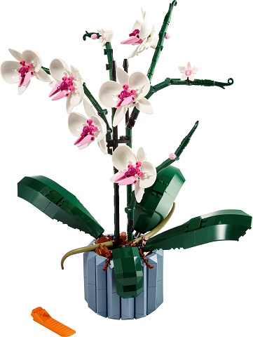 Orchid (Damaged Box)
