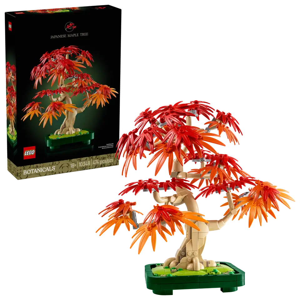 Japanese Maple Tree
