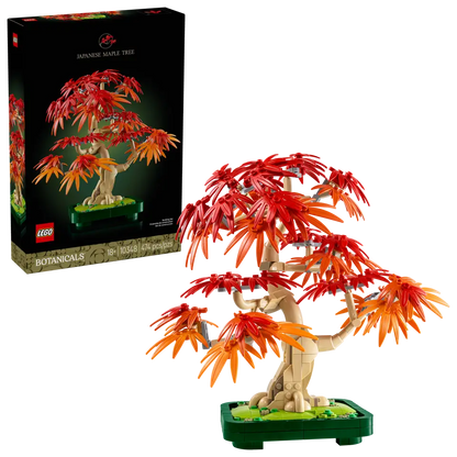 Japanese Maple Tree