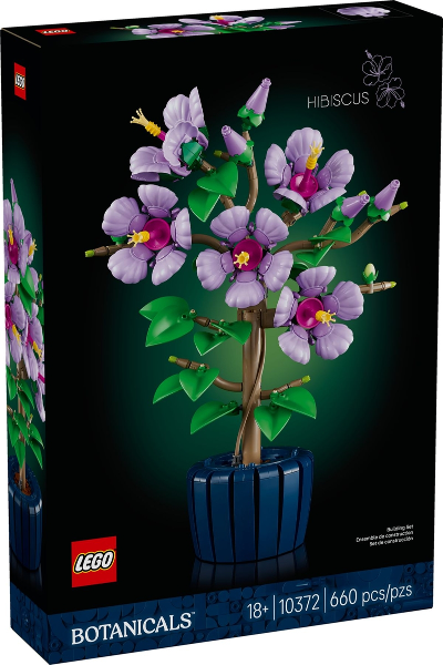 Hibiscus