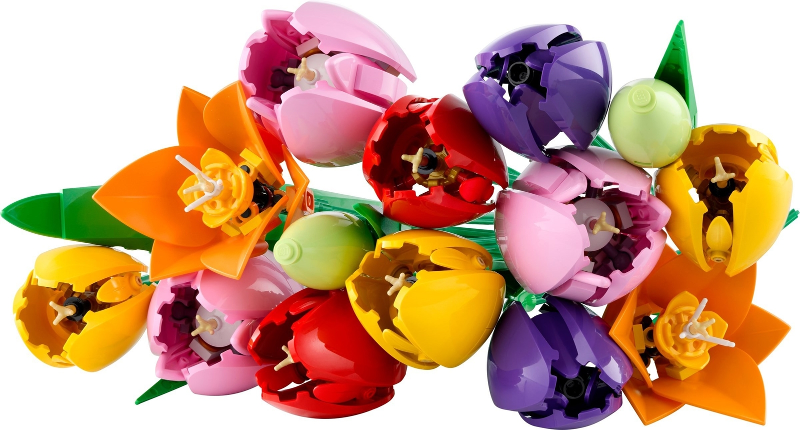 Tulip Bouquet