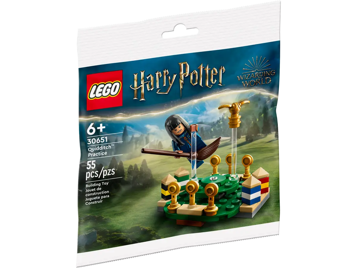 Quidditch Practice polybag