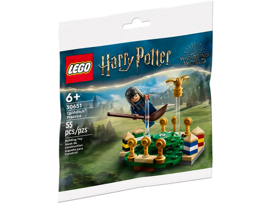 Quidditch Practice polybag