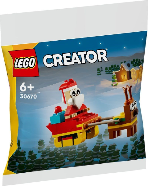 Santa's Sleigh Ride polybag