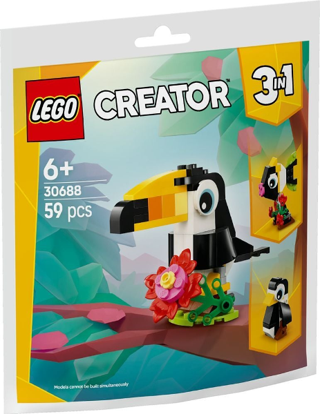 Tropical Toucan