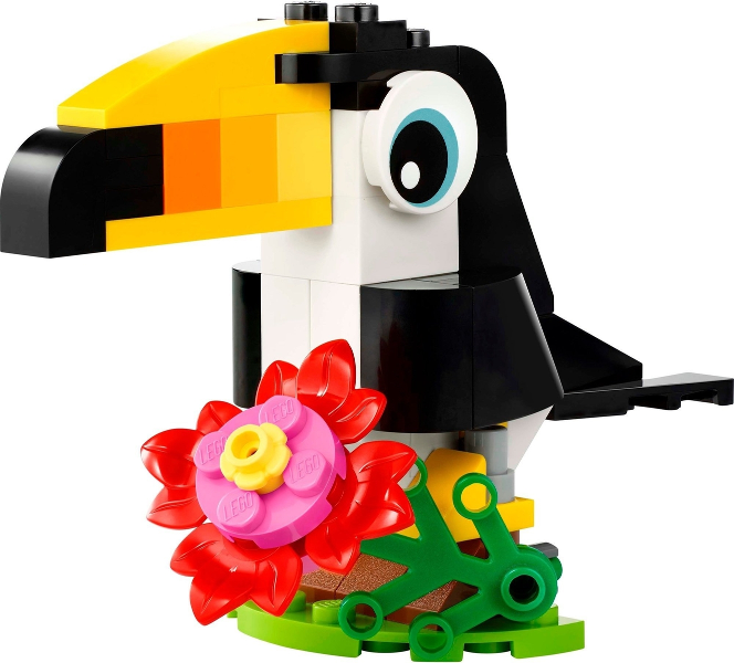 Tropical Toucan