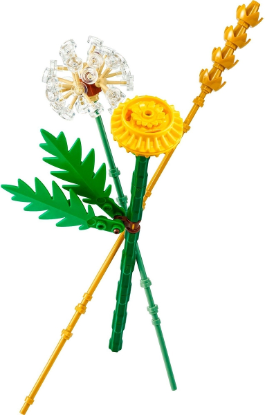 Field Flowers