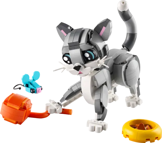 Playful Cat