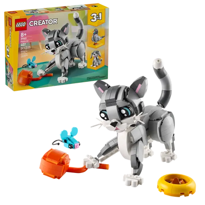 Playful Cat
