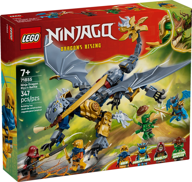 Ninja Dragon Riyu's Battle