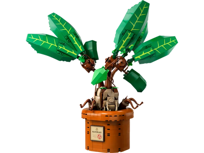 Mandrake