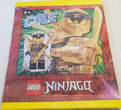 Cole paper bag #1