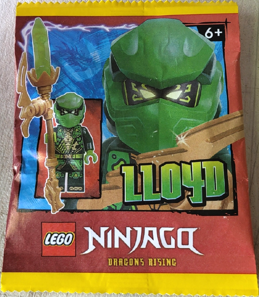 Llyod Paper Bag #4